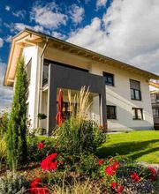 SOGO Gebäude- & Gartenservice Bild 4