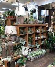 Blumen Interfleur Floristik & Wohnaccessoires Bild 2