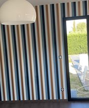 Alibert Plaquiste Peintre image 4