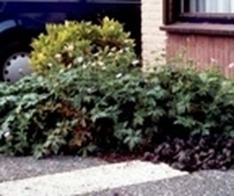 M Wiarda Groentechnisch Adviesburo