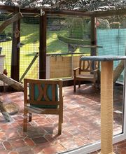 Pfötchen-Date Bild 6