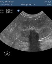 Clinique vétérinaire des Ducs de Bourgogne image 13