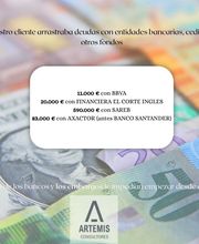 Artemis Consultores imagen 6