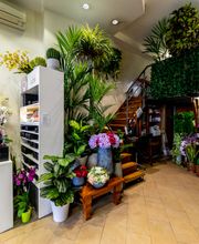 Gallery Professionale