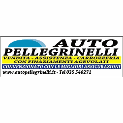 Autopellegrinelli logo
