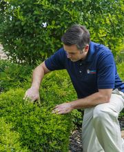 Berrett Pest Control image 5