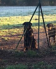 Pension De La Rosée Du Soleil image 17