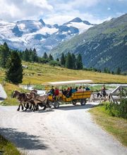 Wohlis Kutschbetrieb &  Ginas Reitschule Bild 1