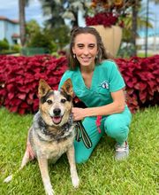 All Paws Animal Clinic image 3