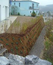 Faes Gartenbau GmbH Bild 4