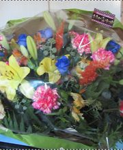 Bruckner Anne Marie image 8