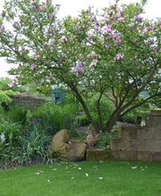 Walter Schmitz Gärten für Auge und Seele Bild 6