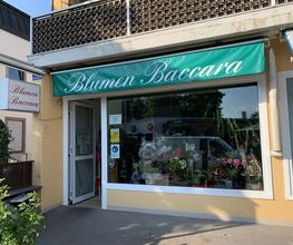 Blumen Baccara Ingolstadt Bild 12