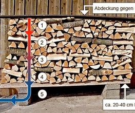 Brennholz Müller Bild 2