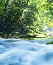 ECO Reinigung Mardare Bild 9