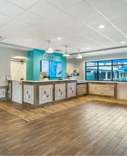 Pet Paradise Pooler image 10