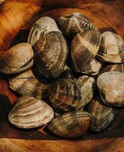 Llum i Sal imagen 14