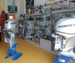 Gallery Cliente