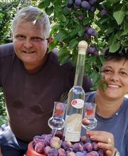 Distillerie Schneider Sàrl Bild 13