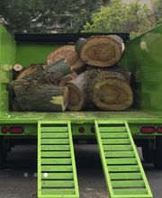 Little C Tree Service image 11