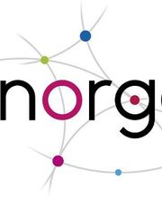 Enorga image 1