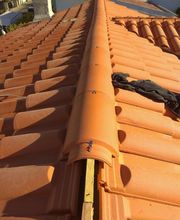 Marion Laurent image 15