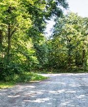 FriedWald Hasbruch Bild 18