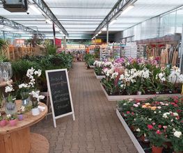 Pirig Gartencenter Bild 6