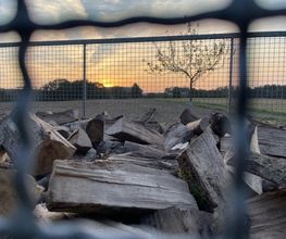 Baumdienst Herrmann Bild 9
