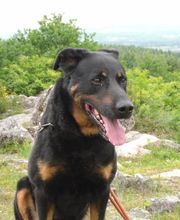 Boulade Hervé image 1