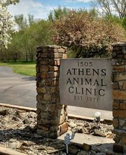 Athens Animal Clinic image 3