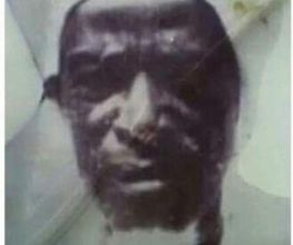 Diaby image 4