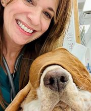 Caring Hands Animal Hospital - Bristow image 1