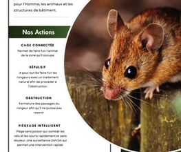 NOCIBILIS Désinfection Sàrl Bild 7