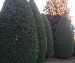 Alterre Jardins image 15