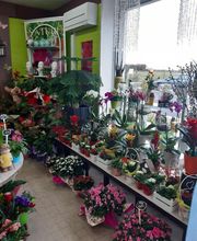 La Boutique Fleurie image 4