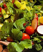 YAFA Restaurant Bild 6