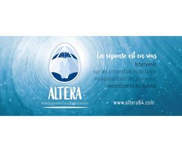 Altera image 2