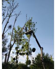 SJ TRAVAUX image 7