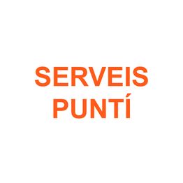 Serveis Puntí
