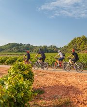 Coquillade Provence image 5