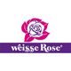 Weiße Rose Textilpflege