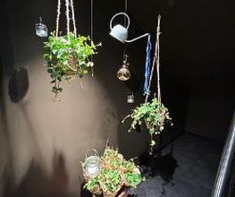 Søstrene Grene Bild 3