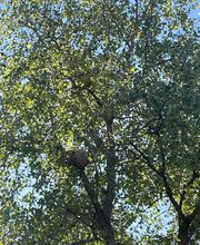 GN3D Dératisation Désinsectisation image 8