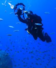 Fuerteventura Diving imagen 6