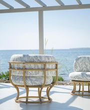 Beluga Design image 1