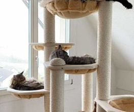 katzenbaum.ch Bild 5