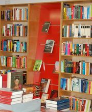 Bücher Schwalbe Bild 1