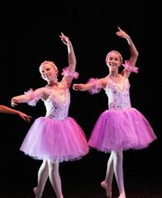 LA ZONE A DANSER image 5
