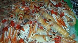 MARISCO PEINADO S.L.